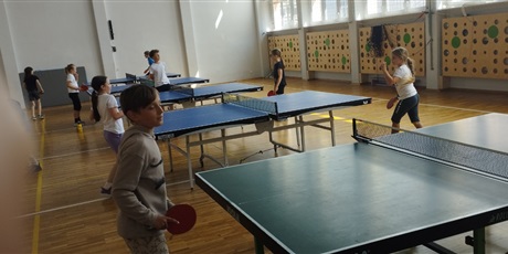 Powiększ grafikę: sks-tenis-stolowy-629518.jpg
