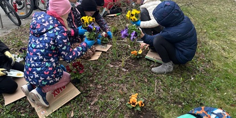 Powiększ grafikę: zdrowosfera-na-meissnera-607055.jpg