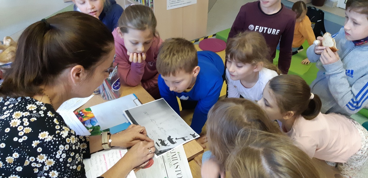 biblioteka-141677.jpg